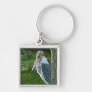 Marabou Schlüsselanhänger