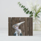 Marabou Stork Postkarte (Stehend Vorderseite)