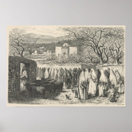Marabout und Prozession: Tlemcen Poster (Vorne)