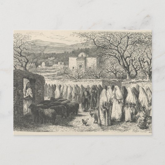 Marabout und Prozession: Tlemcen Postkarte (Vorderseite)