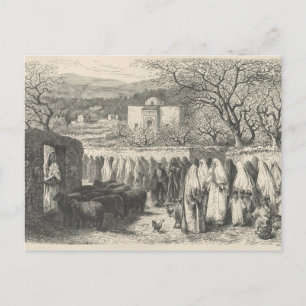 Marabout und Prozession: Tlemcen Postkarte