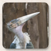 Marabu-Storch Getränkeuntersetzer (Vorderseite)