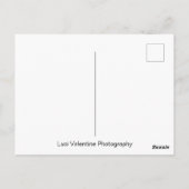 Maracas Postkarte (Rückseite)