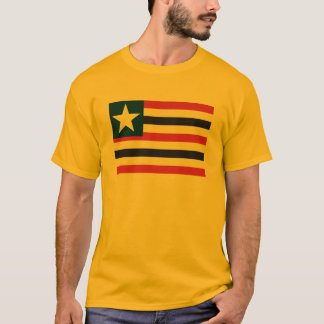 Maranhao Flaggen-T - Shirt