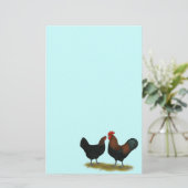 Marans Black Copper Briefpapier (Stehend Vorderseite)