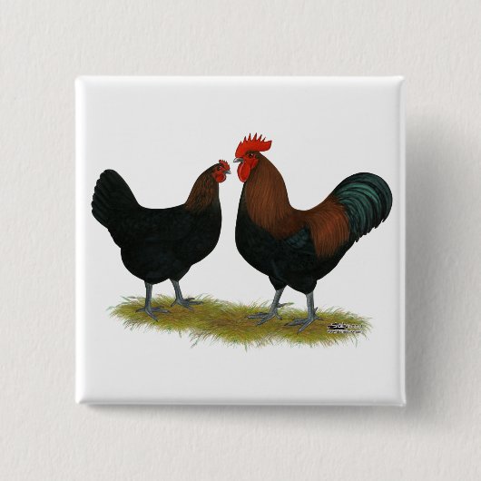 Marans Black Copper Button (Vorderseite)