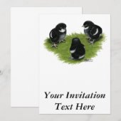 Marans Black Copper Chicks Einladung (Vorne/Hinten)