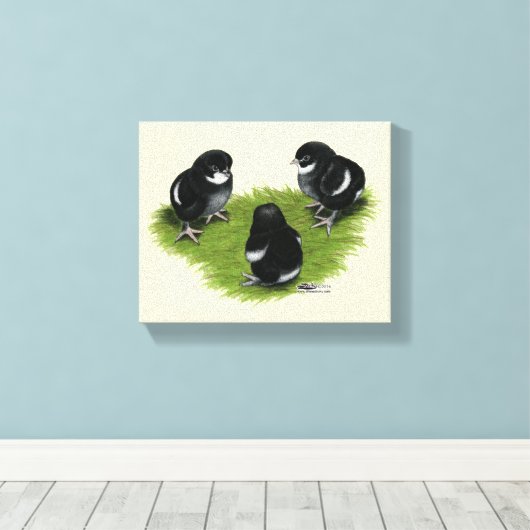 Marans Black Copper Chicks Leinwanddruck (Insitu (Holzboden))