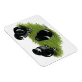 Marans Black Copper Chicks Magnet (Rechte Seite)