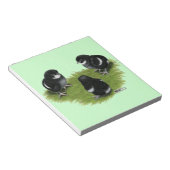 Marans Black Copper Chicks Notizblock (angewinkelt)