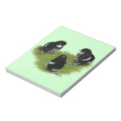 Marans Black Copper Chicks Notizblock (Rotiert)