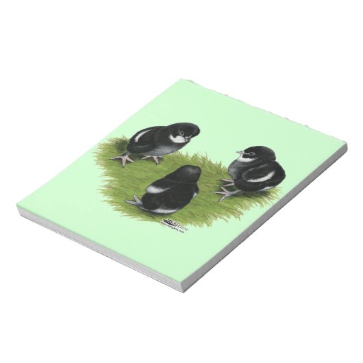 Marans Black Copper Chicks Notizblock (Rotiert)