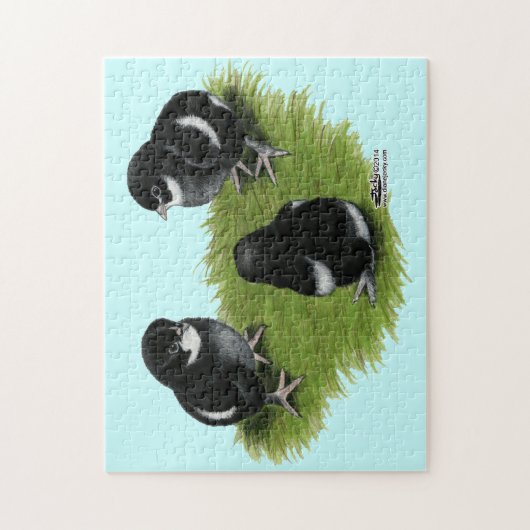 Marans Black Copper Chicks Puzzle (Vertikal)