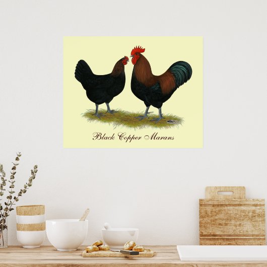 Marans Black Copper Poster (Küche)