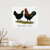 Marans Black Copper Poster (Küche)