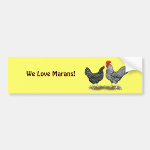Marans:  Cuckoo-Paar Autoaufkleber