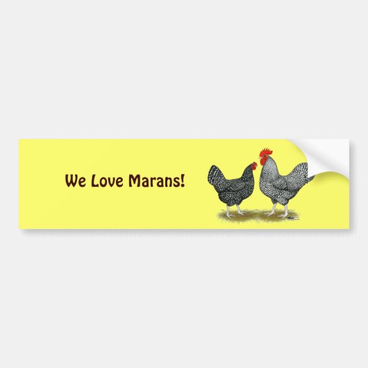 Marans: Cuckoo Pair Autoaufkleber (Vorne)