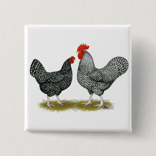 Marans: Cuckoo Pair Button