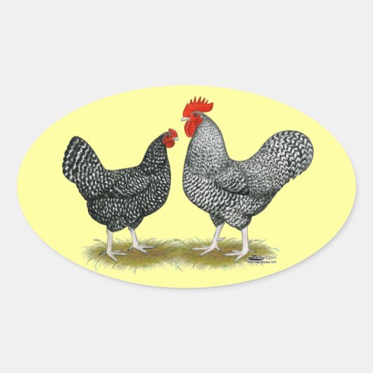 Marans: Cuckoo Pair Ovaler Aufkleber (Vorderseite)