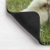 Marans Küken Mousepad (Ecke)