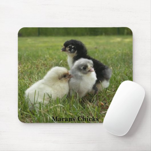 Marans Küken Mousepad (Mit Mouse)