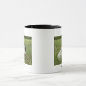 Marans Küken Tasse (Zentrum)