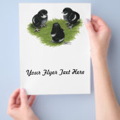 Marans Schwarz Kupfer Küken Flyer (Hand)