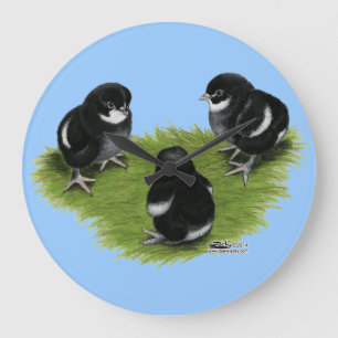 Marans schwarze kupferne Küken Große Wanduhr