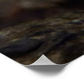 Marasmius rotula Mushroom Poster (Ecke)