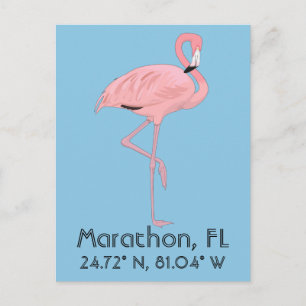 Marathon FL Keys Flamingo Breite Länge Postkarte