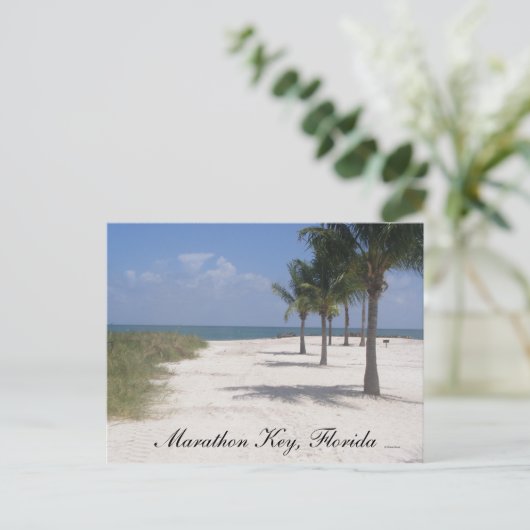 Marathon Key, Florida Postkarte (Stehend Vorderseite)