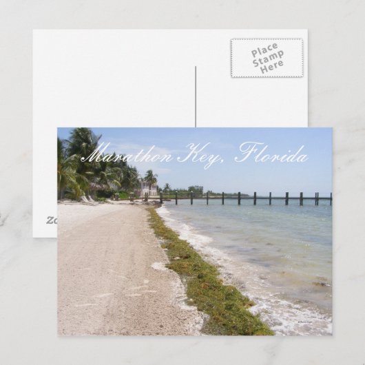 Marathon Key, Florida Postkarte (Vorne/Hinten)