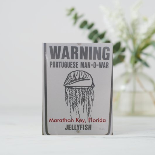 Marathon Key, Florida Postkarte (Stehend Vorderseite)