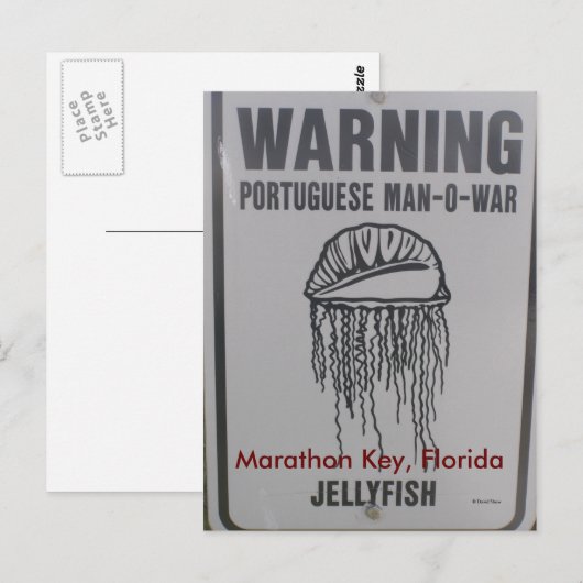 Marathon Key, Florida Postkarte (Vorne/Hinten)