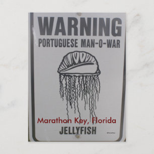 Marathon Key, Florida Postkarte