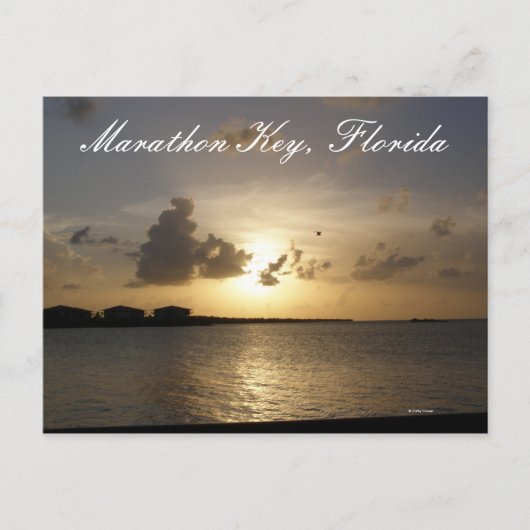 Marathon Key, Florida Postkarte (Vorderseite)