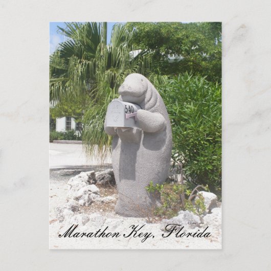 Marathon Key, Florida Postkarte (Vorderseite)