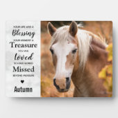 Marble Equestrian Keepake Pferde Memorial Fotoplatte (Vorderseite)