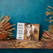 Marble Equestrian Keepake Pferde Memorial Fotoplatte (Seite)