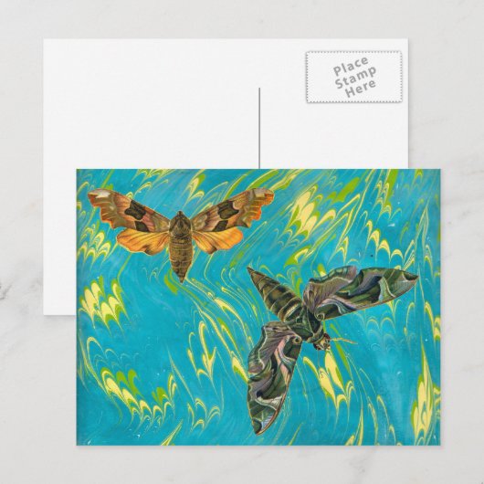 Marble Moth Postcard Postkarte (Vorne/Hinten)