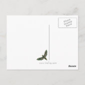 Marble Moth Postcard Postkarte (Rückseite)