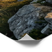 Marble Ram Mountain Pride Poster (Ecke)