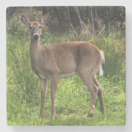 Marble Stone Deer Untersetzer