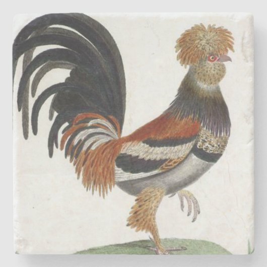 Marble Stone French Bird Steinuntersetzer (Vorderseite)