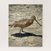 Marbled Godwit Puzzle (Vertikal)