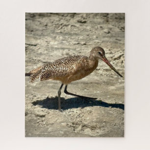 Marbled Godwit Puzzle