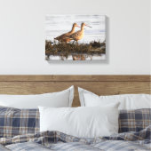 Marbled Godwits bei Blackie Spit Leinwanddruck (Insitu (Schlafzimmer))