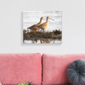 Marbled Godwits bei Blackie Spit Leinwanddruck (Insitu (Wohnzimmer))