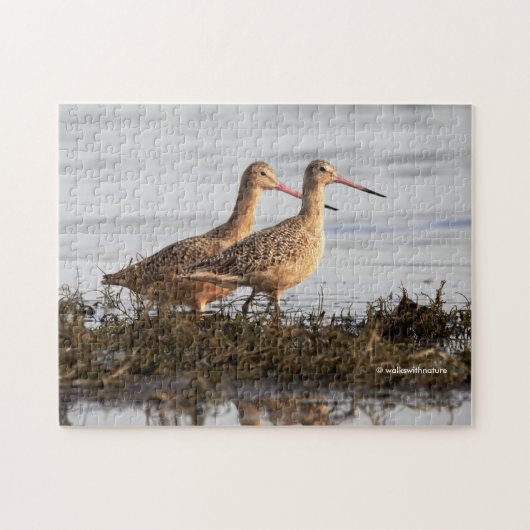 Marbled Godwits Shorebirds WanderBlackie Spit Puzzle (Horizontal)