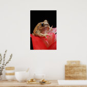 Marbled Reed Frog Poster (Küche)